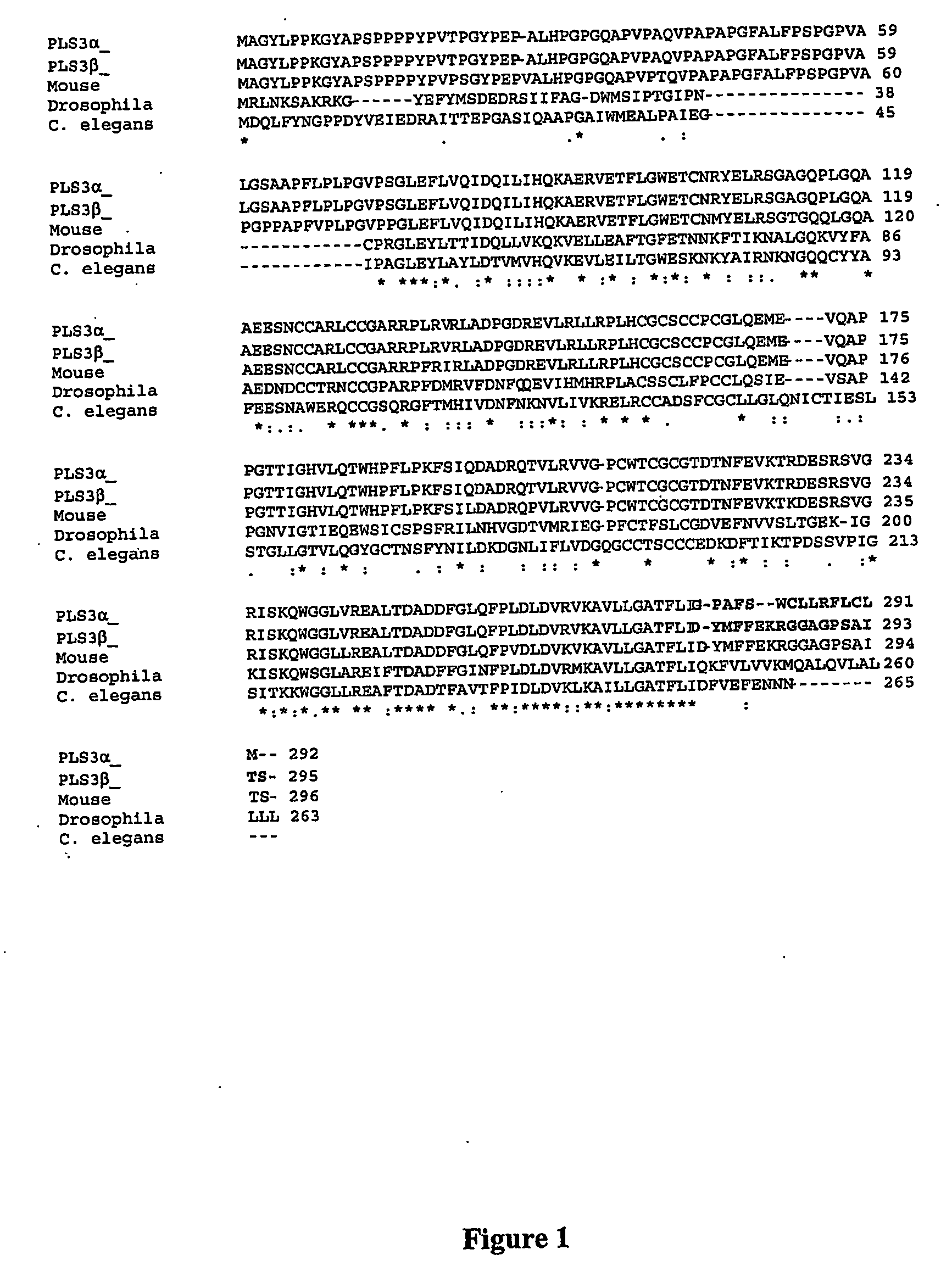 Phospholipid scramblase 3