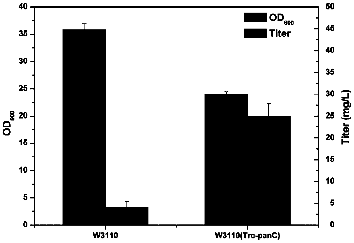 Genetically engineered bacterium with high pantothenic acid yield as well as construction method and application