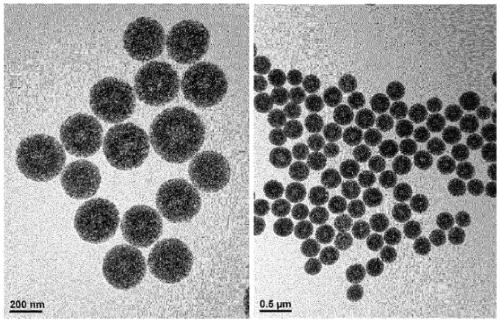 Composition for delivering physiologically active ingredients into blood vessel