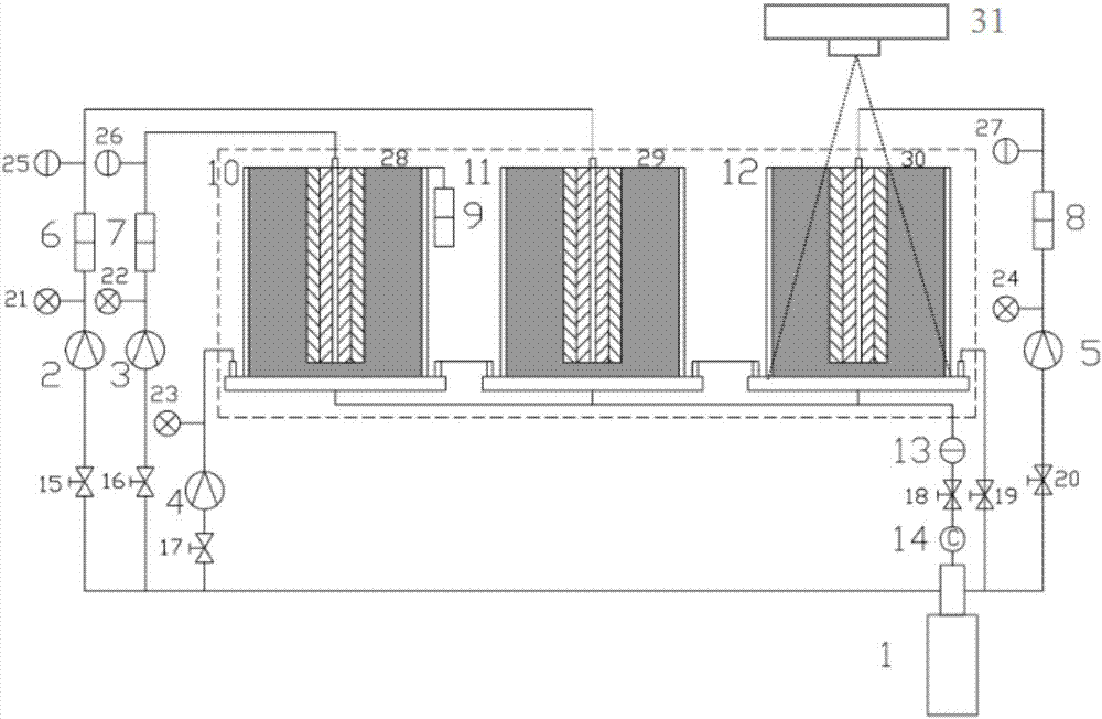 A device and method for studying the impact on wellbore integrity in the process of geological storage of carbon dioxide