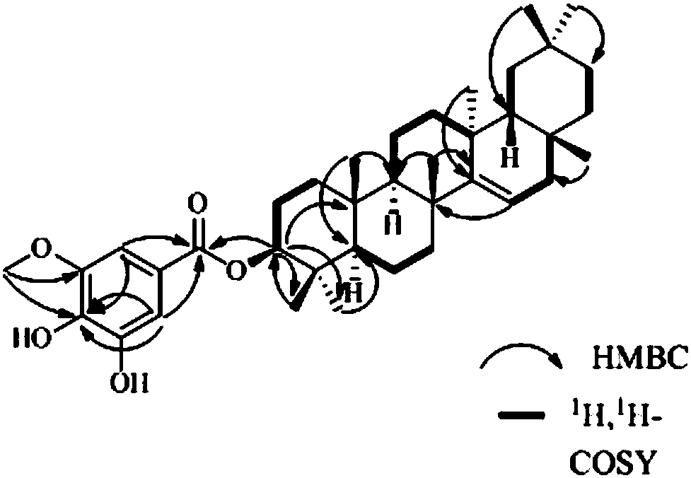 Triterpenoid compound in orophea yunnanensis as well as preparation method and application of triterpenoid compound