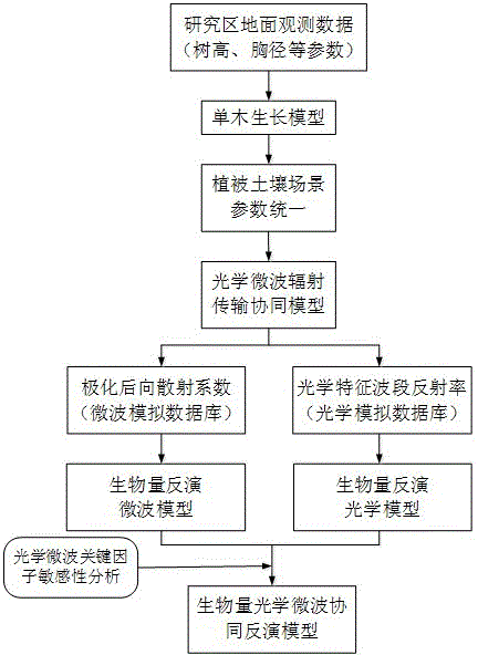 Forest biomass amount retrieval method based on collaboration of optical reflection model and microwave scattering model