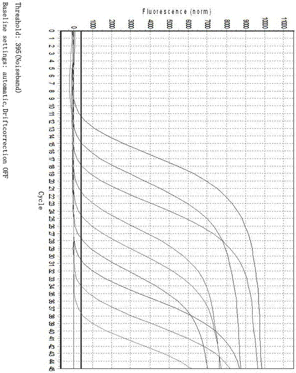 Primer and probe for detecting Mycoplasma ovipneumoniae