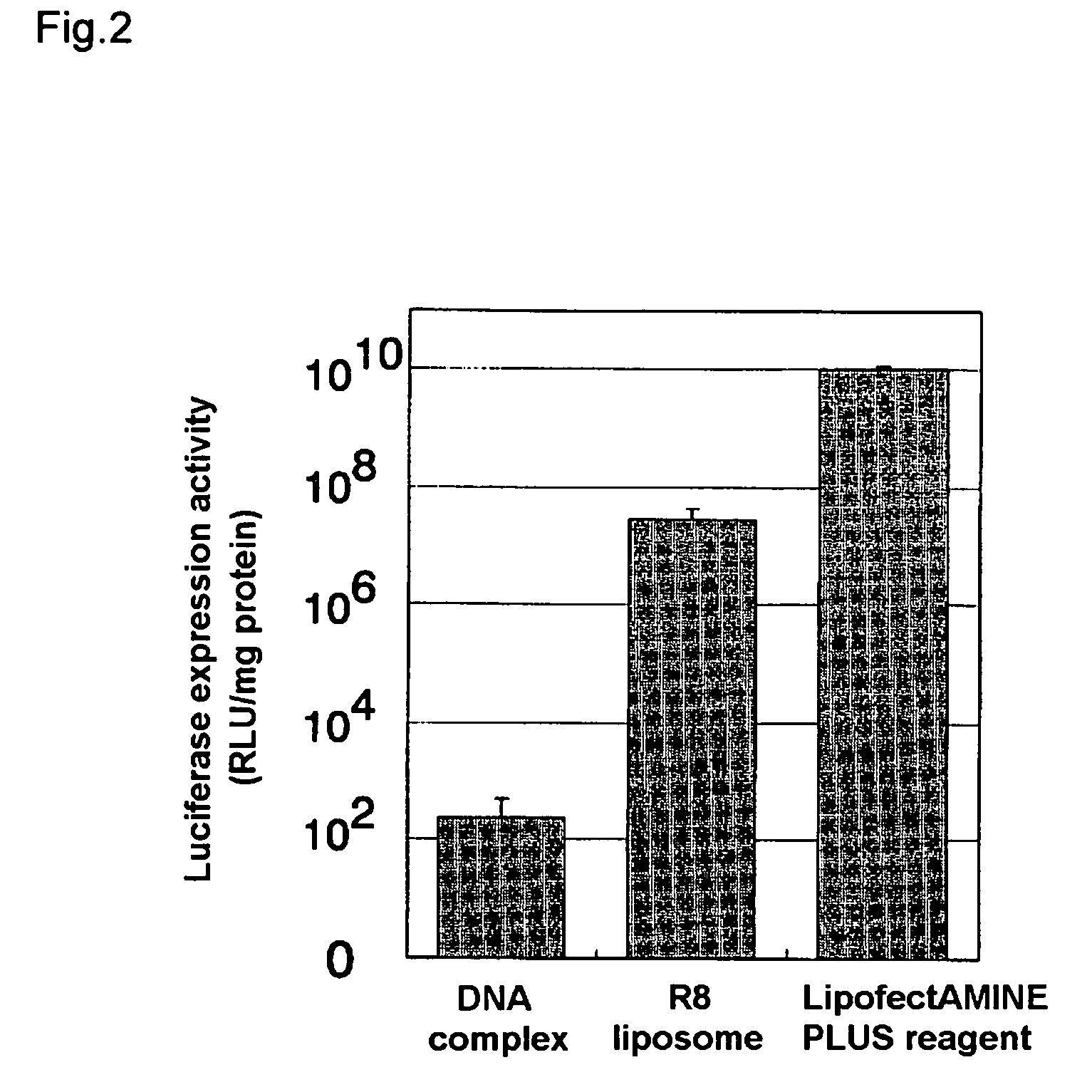 Polyarginine-modified liposome having nuclear entry ability