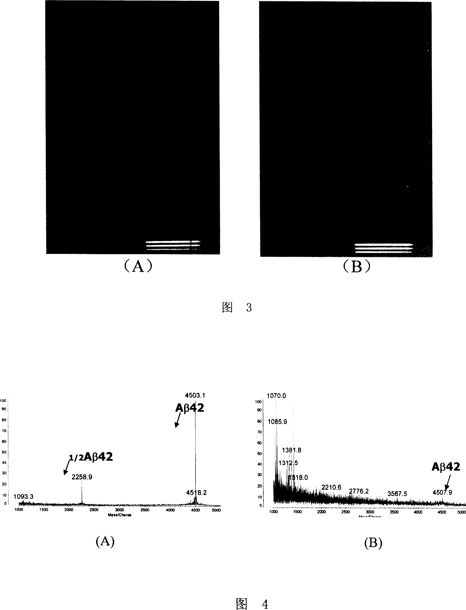 Compound of polyphenols with aza-containing heterocyclic modified and use thereof