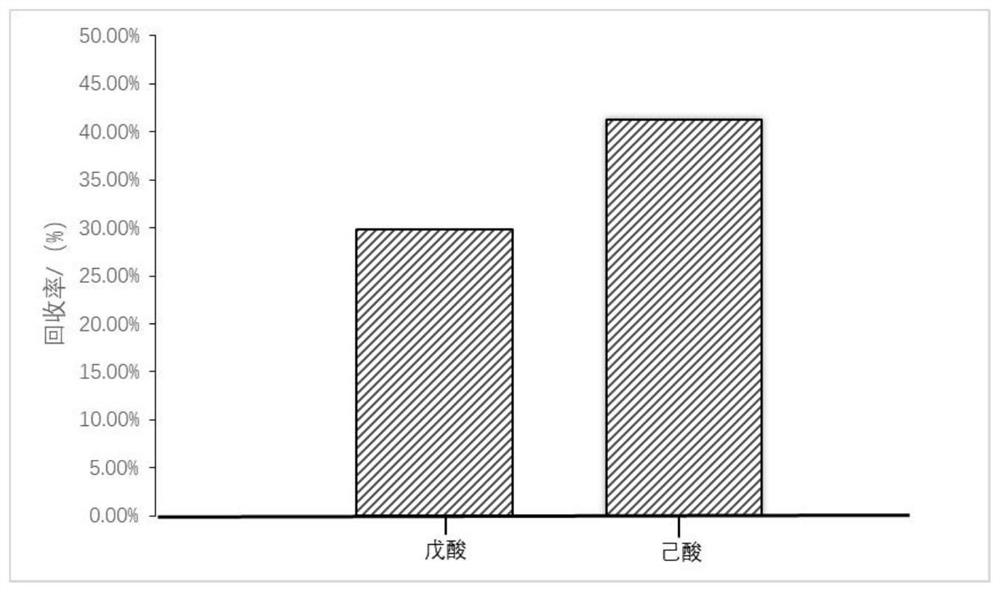 Magnetic dextrin microspheres, preparation method and application in determination of residual quantity of chlorpyrifos in oyster mushrooms