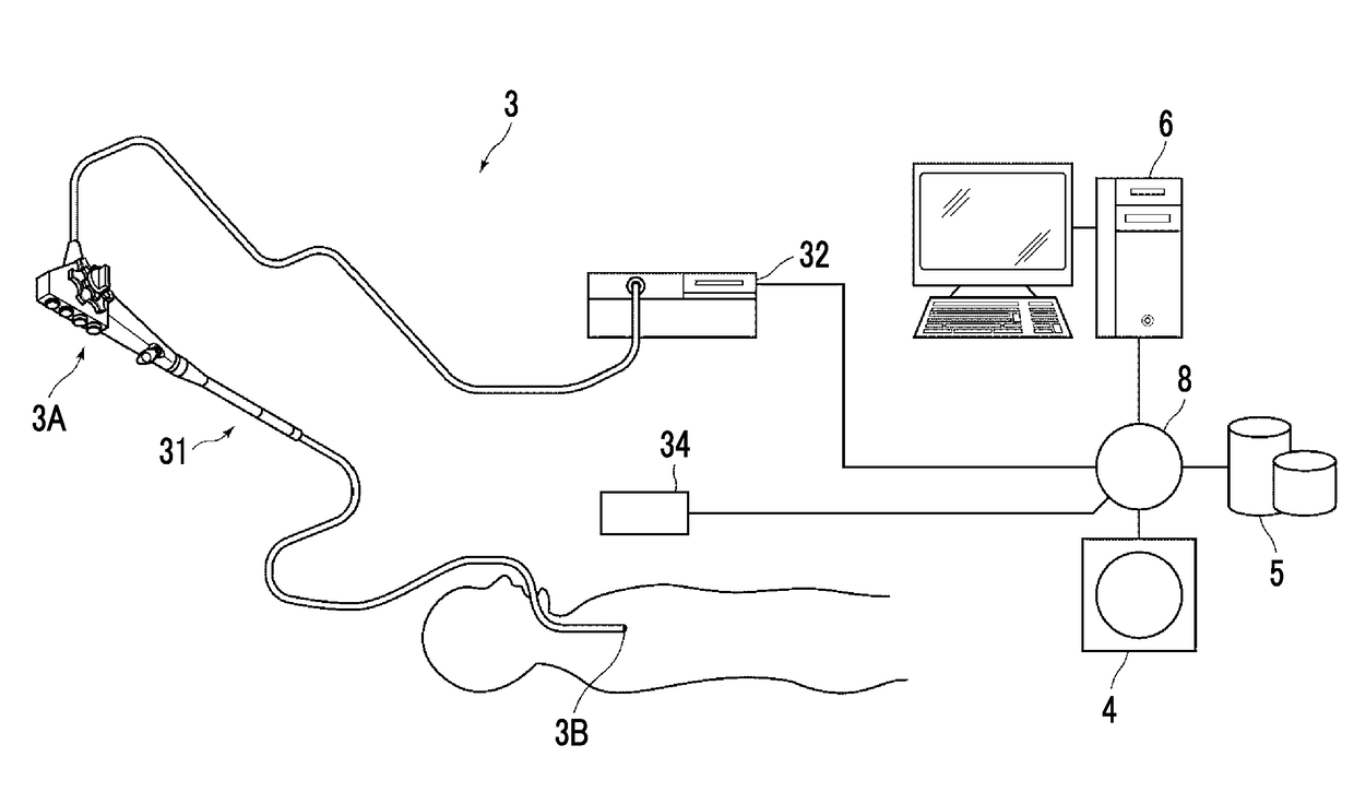 Endoscopic examination support device, endoscopic examination support method, and endoscopic examination support program