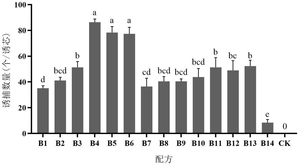 Attractant composition for dioryctria abietella and application of attractant composition