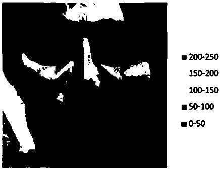 Block Face Recognition Method Based on Weighted Intensity PCNN Model