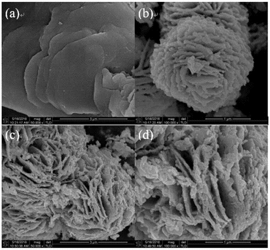 Preparation method and application of carbon nitride/bismuth selenate composite material