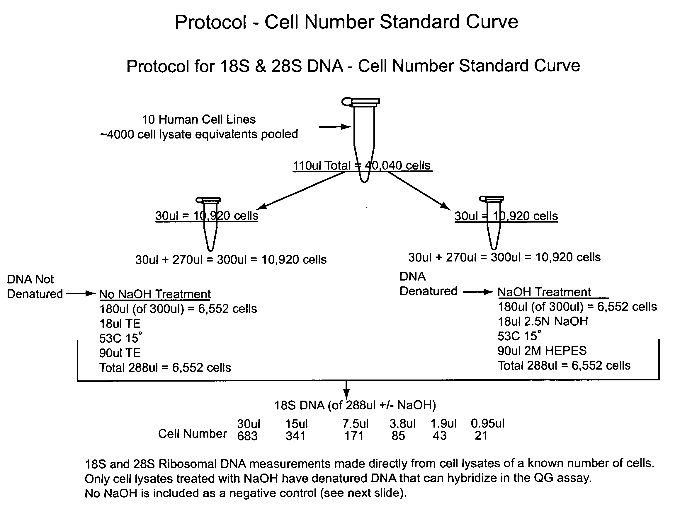 Nucleic acid quantitation from tissue slides