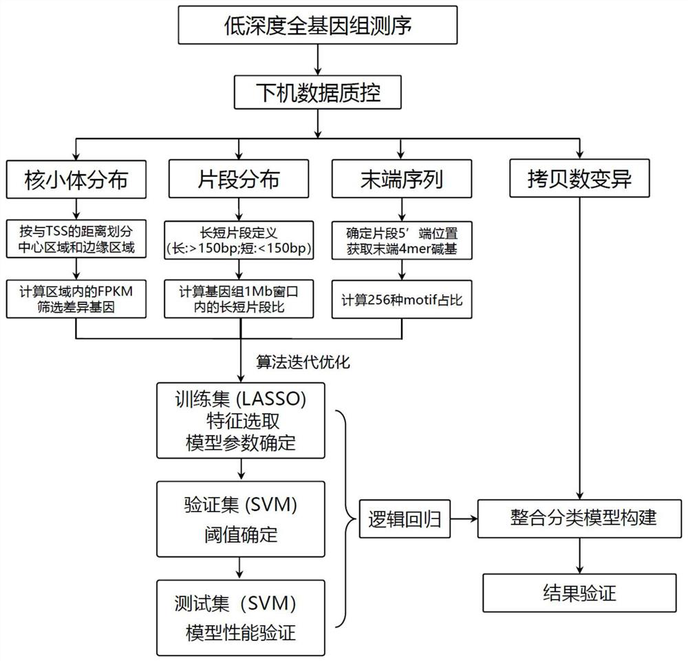 Cancer detection model and construction method and kit thereof