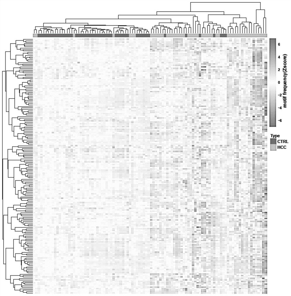 Cancer detection model and construction method and kit thereof