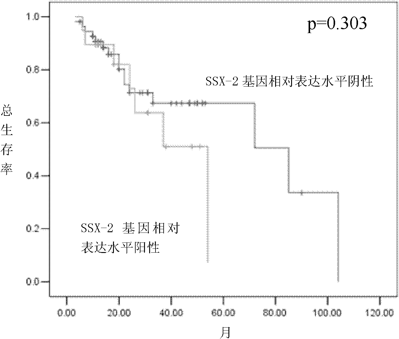 Quantitative detection kit for SSX-2 gene-based assisted diagnosis of multiple myeloma patients