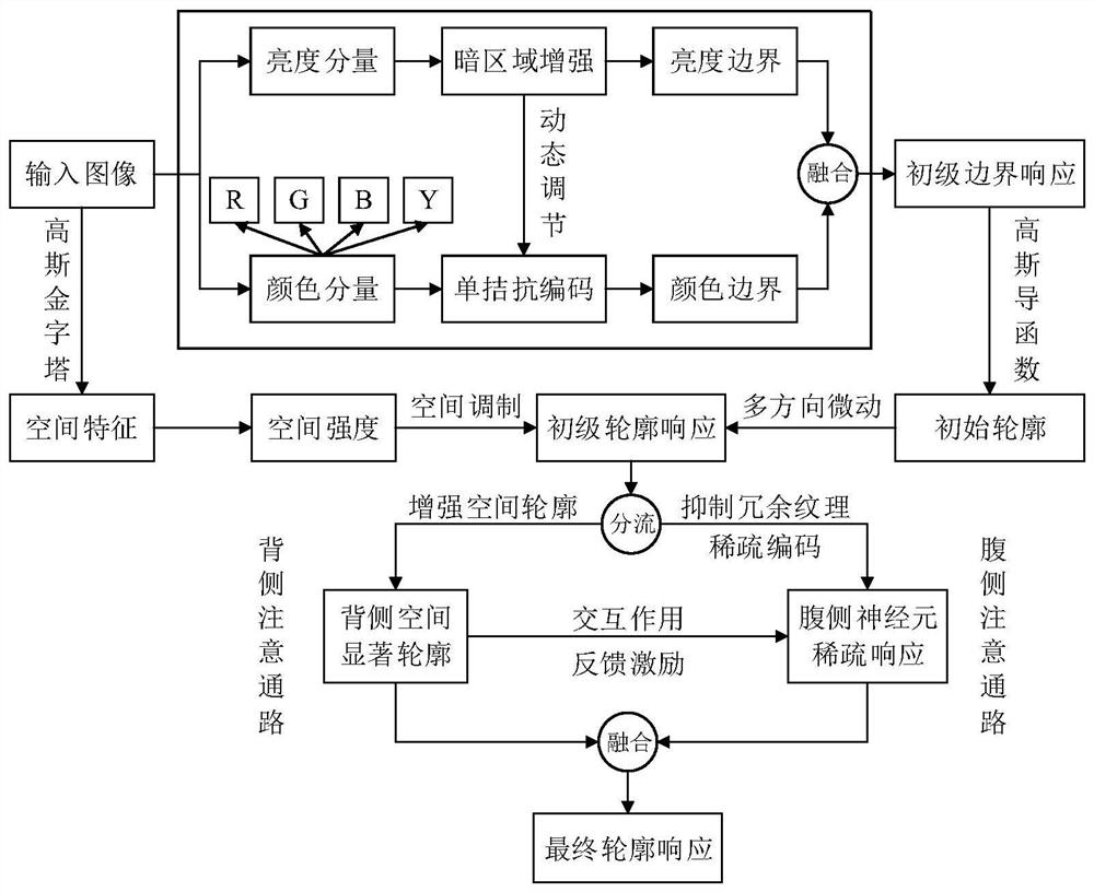 Significant contour extraction method based on bilateral attention path