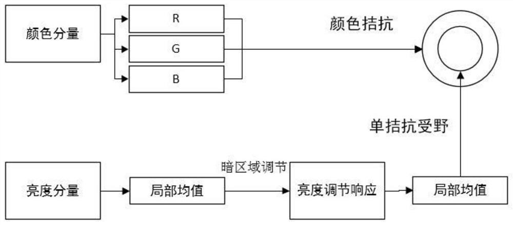 Significant contour extraction method based on bilateral attention path