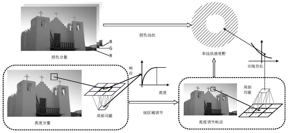 Significant contour extraction method based on bilateral attention path