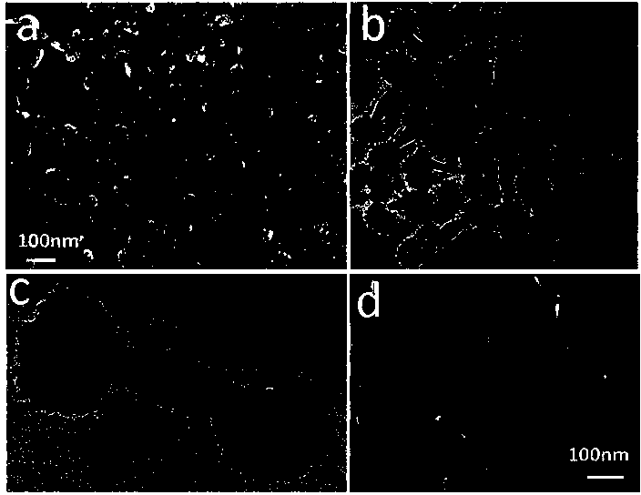 Tri-metal nanoparticle and preparation method thereof