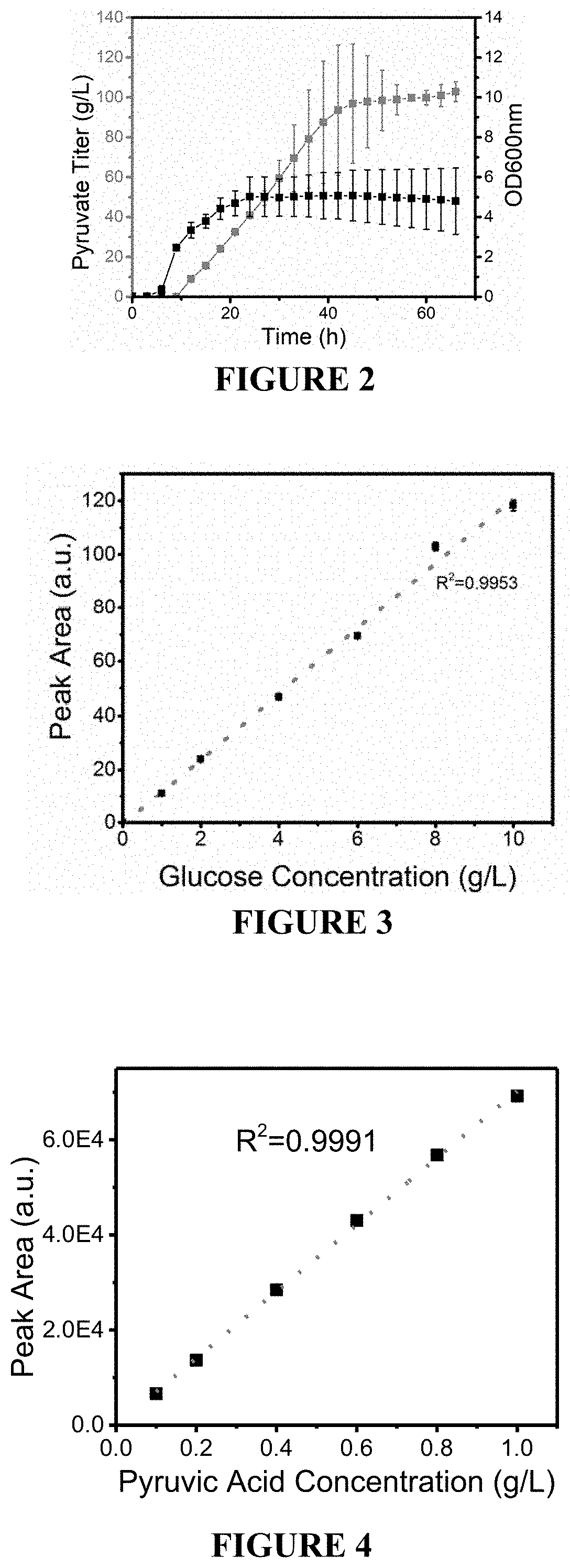 Compositions and methods for the production of pyruvic acid and related products using dynamic metabolic control