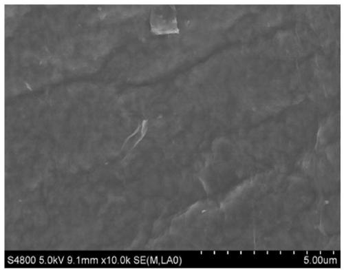 Preparation method of high-stability liquid blueberry anthocyanin