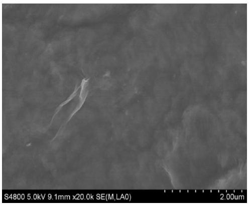 Preparation method of high-stability liquid blueberry anthocyanin