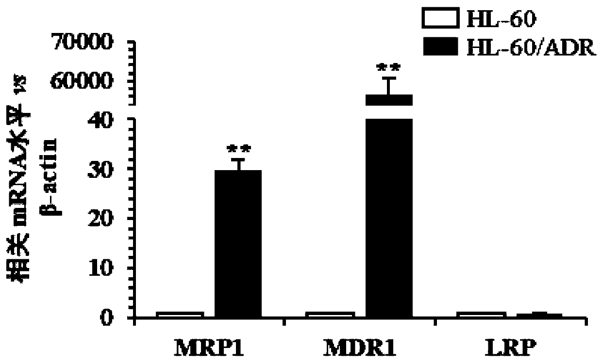 Application of grape seed procyanidine in preparation of combination medicine in cancer chemotherapy scheme