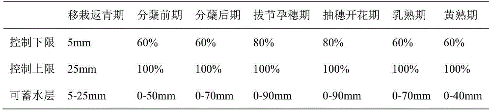 Multi-opening intelligent irrigation system and method for rice fields