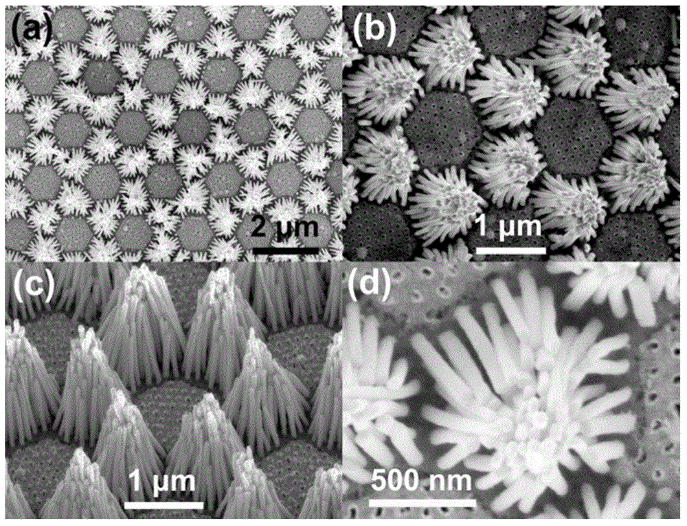 Silver nano column cluster array, as well as preparation method and application thereof