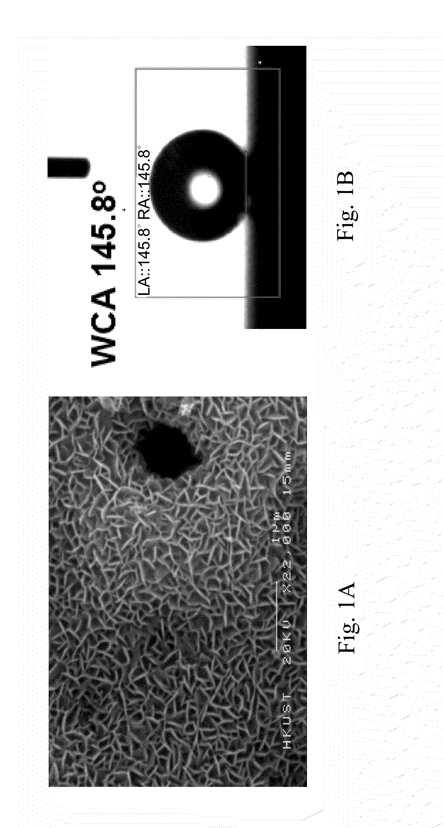 Surface treatment method on Micro-arc Oxidation treated Mg alloys