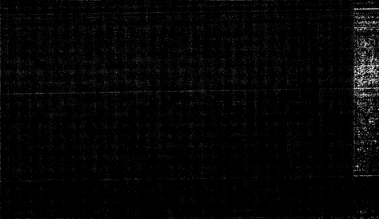 Fudosteine oxide impurity and preparation method thereof