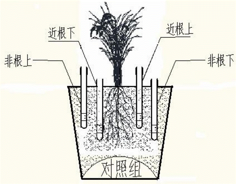 Passive leachate gatherer for detection of POPs in soil