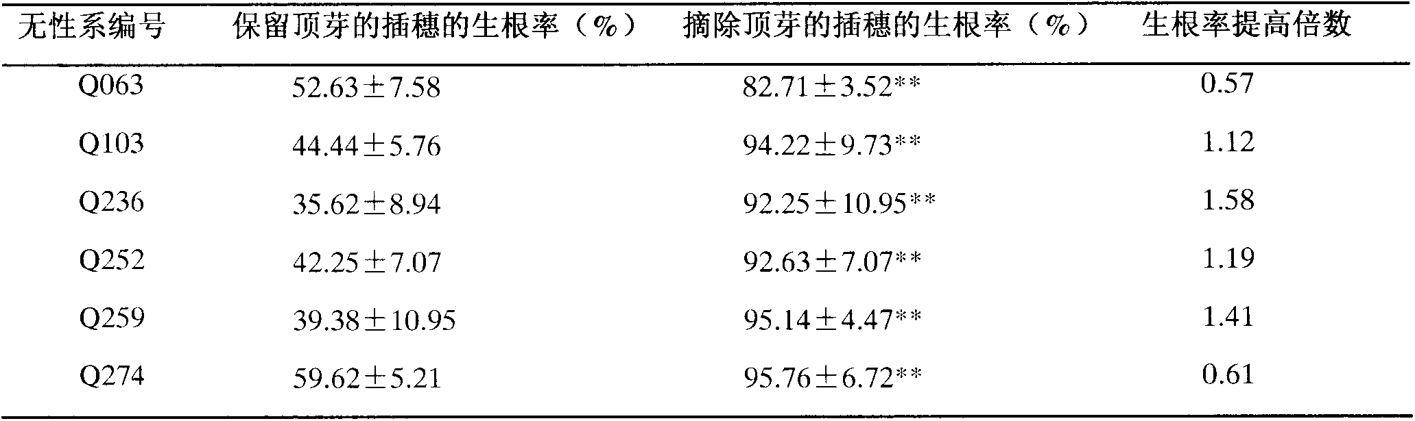 Method for increasing tender bud cutting and rooting rate of catalpa bungei in mode of removing terminal buds of cutting slips