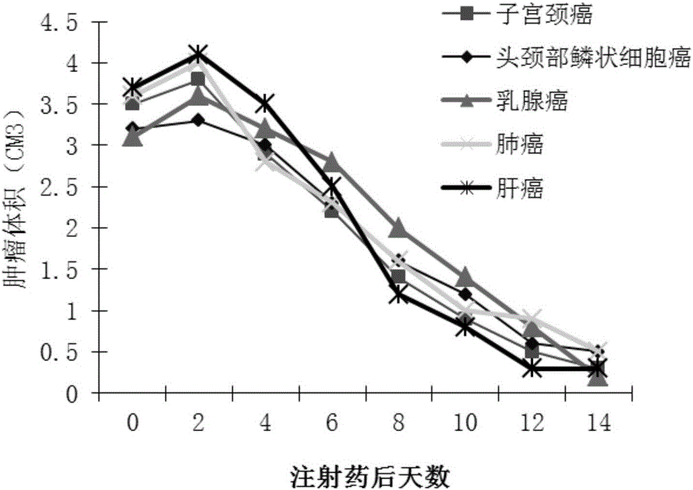 Double-copy human p53 gene recombinant adenovirus and preparation method thereof