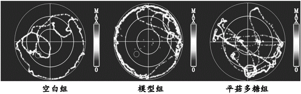 Application of pleutotus ostreatus polysaccharide