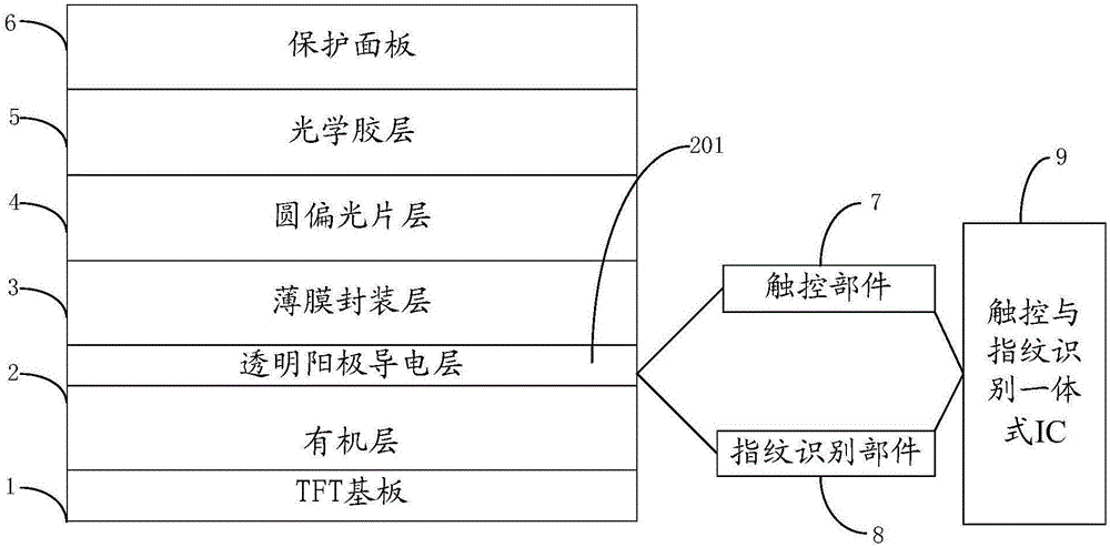 AMOLED display with integrated full-screen fingerprint identification and touch control