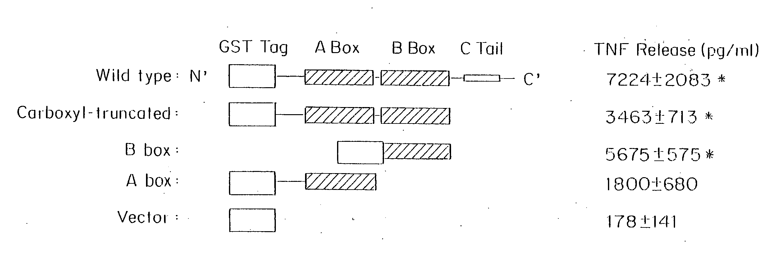 Use of HMGB fragments as anti-inflammatory agents