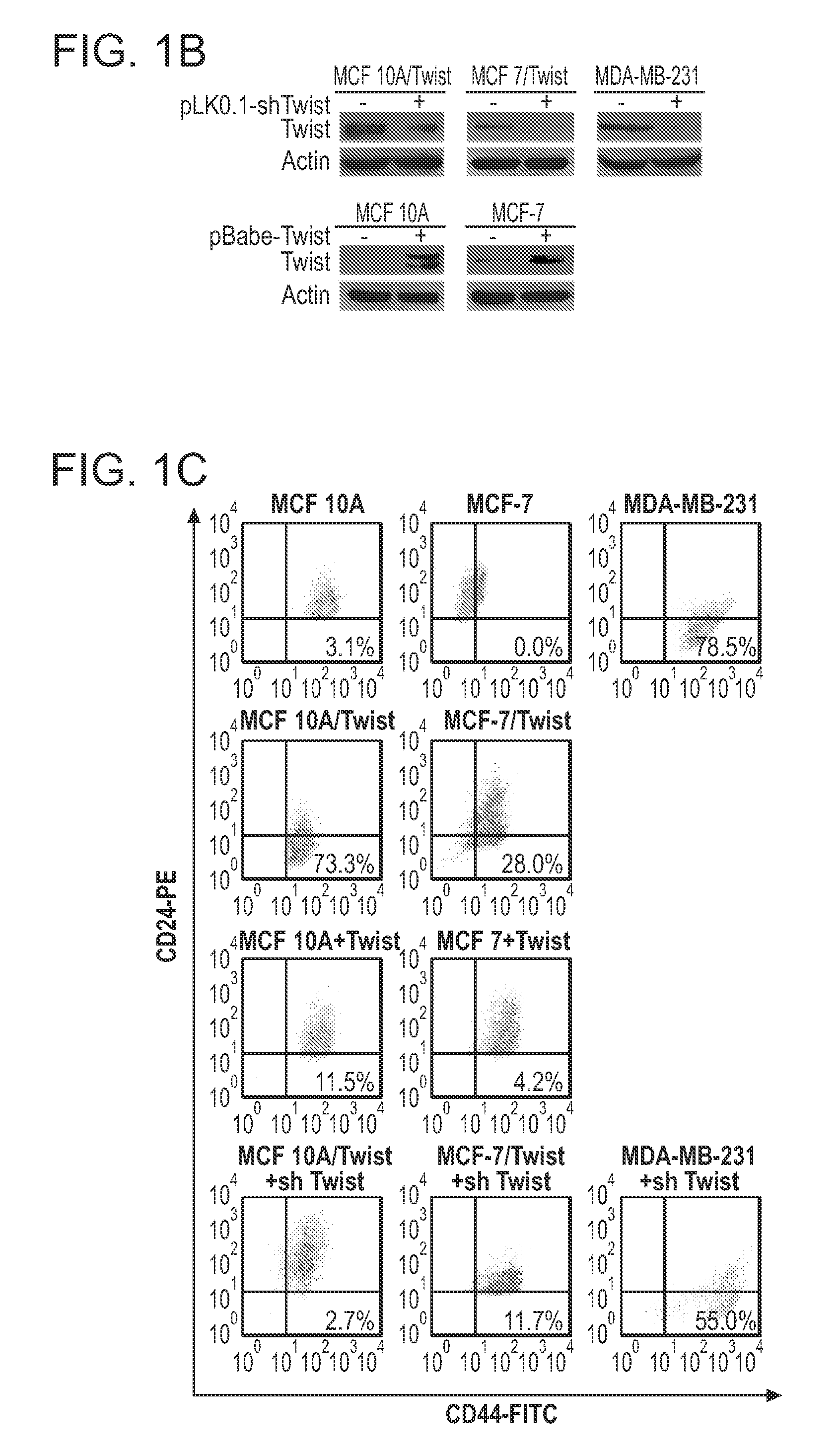 Compositions and Methods for Characterizing Breast Cancer