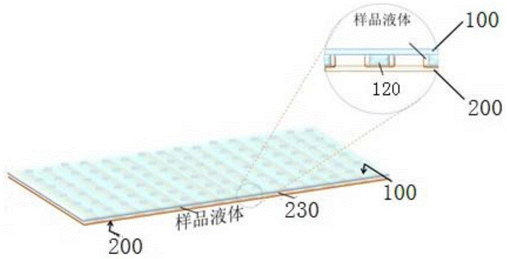 Three-dimensional biomarker detection device, preparation method and method for detecting biomarker