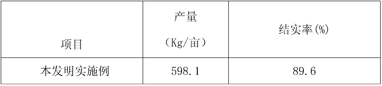 Preparation method of rice microorganism fertilizer