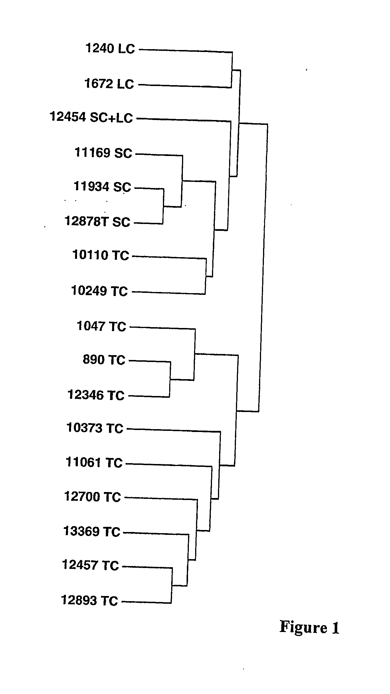 Methods and compositions for the diagnosis of neuroendocrine lung cancer