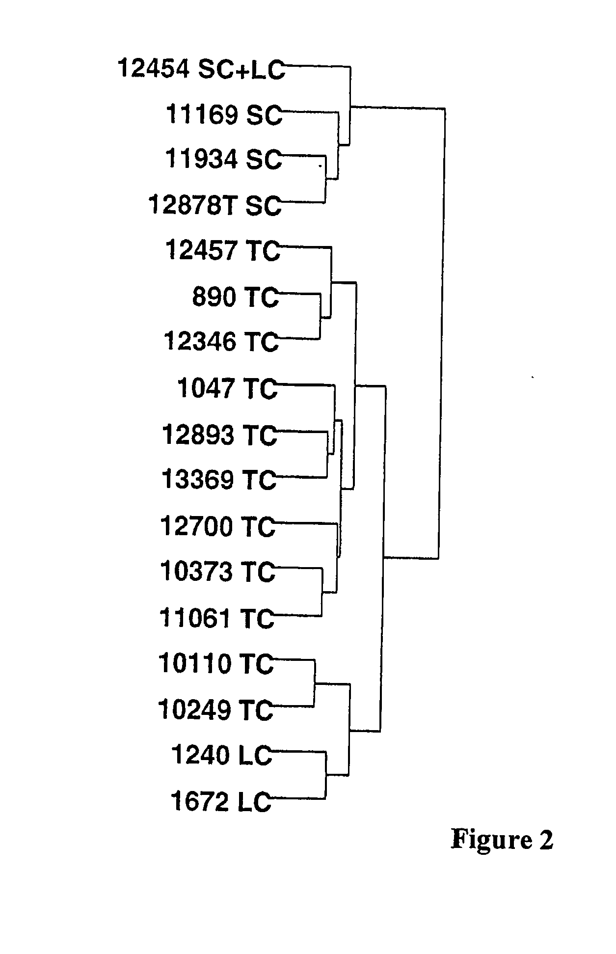 Methods and compositions for the diagnosis of neuroendocrine lung cancer