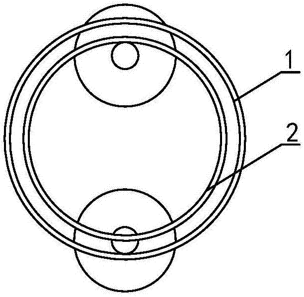 Plate electrode for electrolyzing water