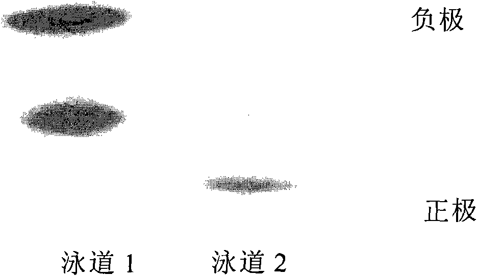 Monomer quick-acting insulin as well as preparing method and application thereof