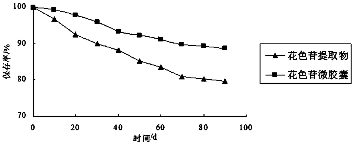 Preparation method of purple perilla anthocyanin microcapsules