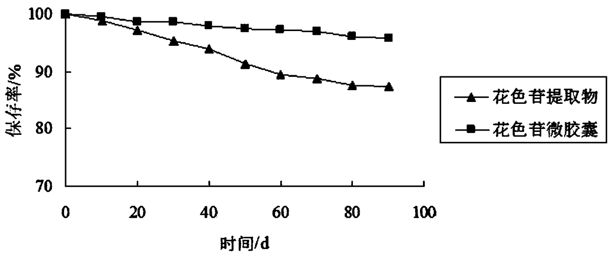 Preparation method of purple perilla anthocyanin microcapsules