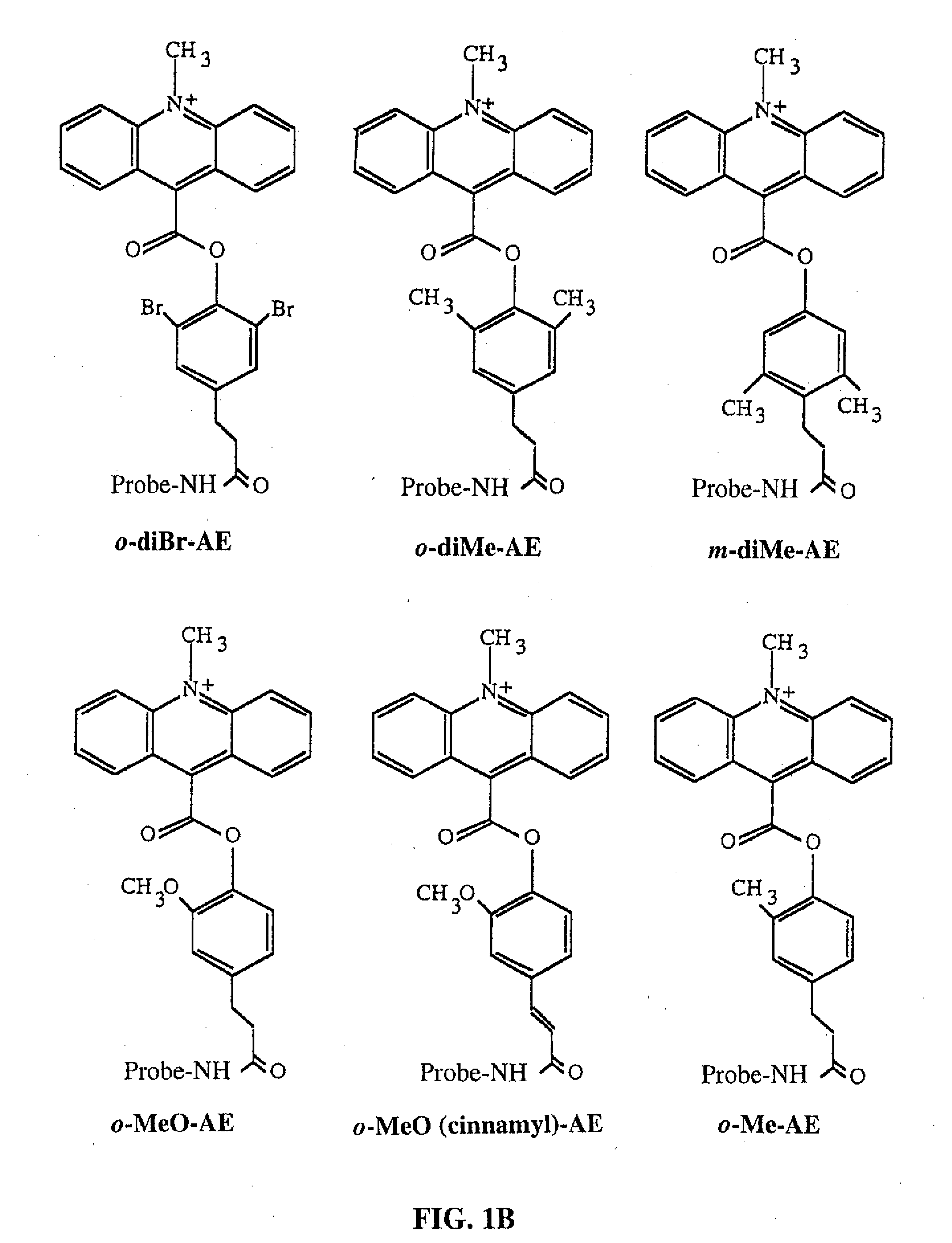 Method for detecting a structured target