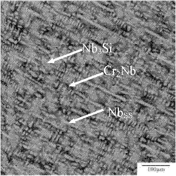 Structure controlled preparation method for Nb-Si-based complex alloy