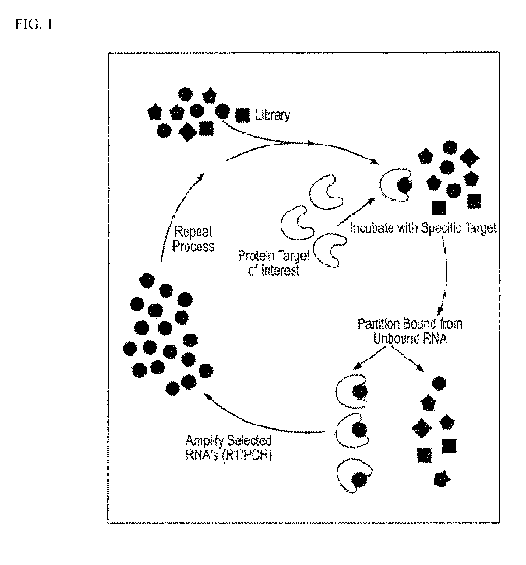 Nucleic acid modulators of glycoprotein VI