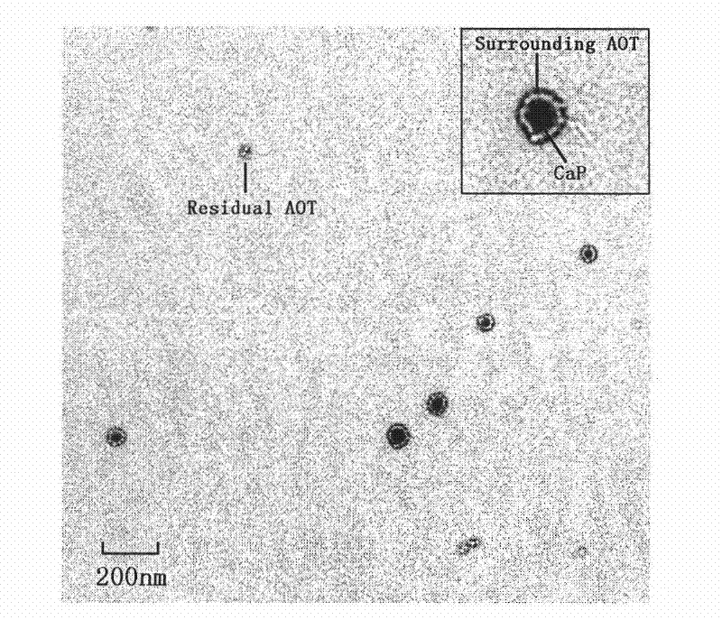 Preparation method and application in preparation of photodynamic therapy medicines of fat-soluble photosensitizer loaded on inorganic salt carrier