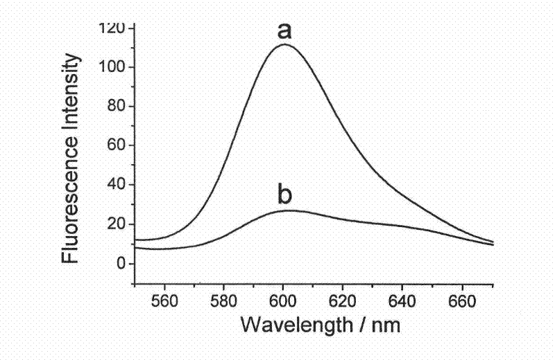 Preparation method and application in preparation of photodynamic therapy medicines of fat-soluble photosensitizer loaded on inorganic salt carrier